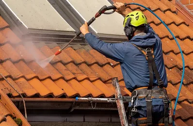 Démoussage et hydrofuge de toiture à Sarniguet